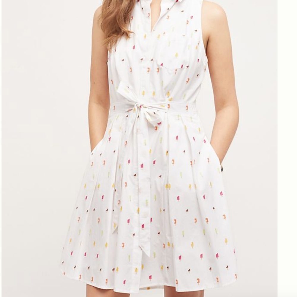 HD in Paris | Paleta Shirtdress | 12 | NWOT